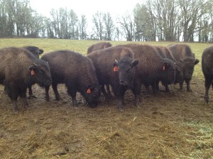 Rick's iphone pictures 178