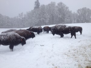 Rick's iphone pictures 218