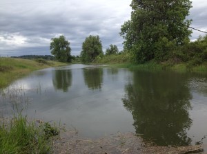 Rick's iphone pictures 263